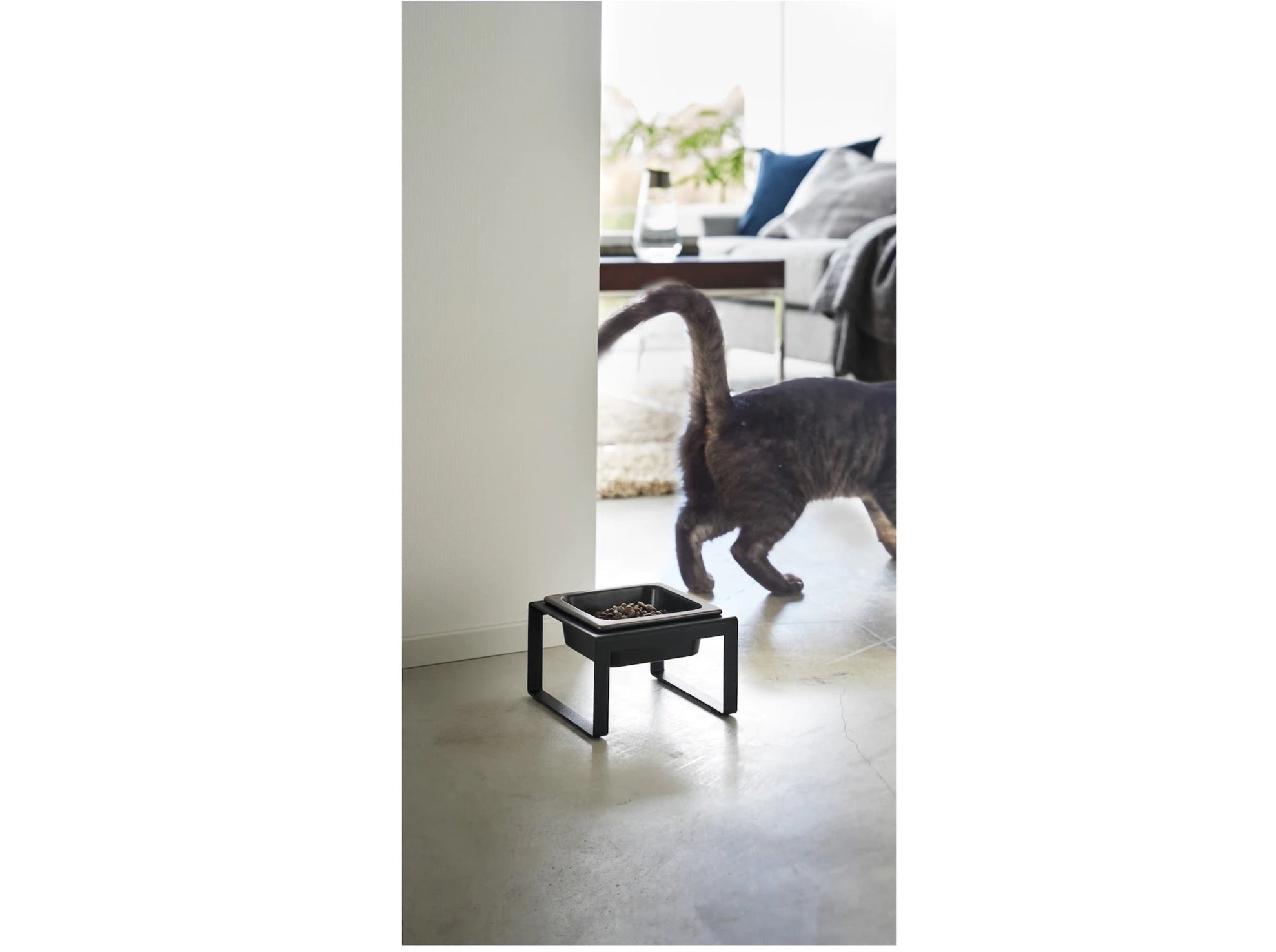 Premium Raised Cat Feeder Bowl